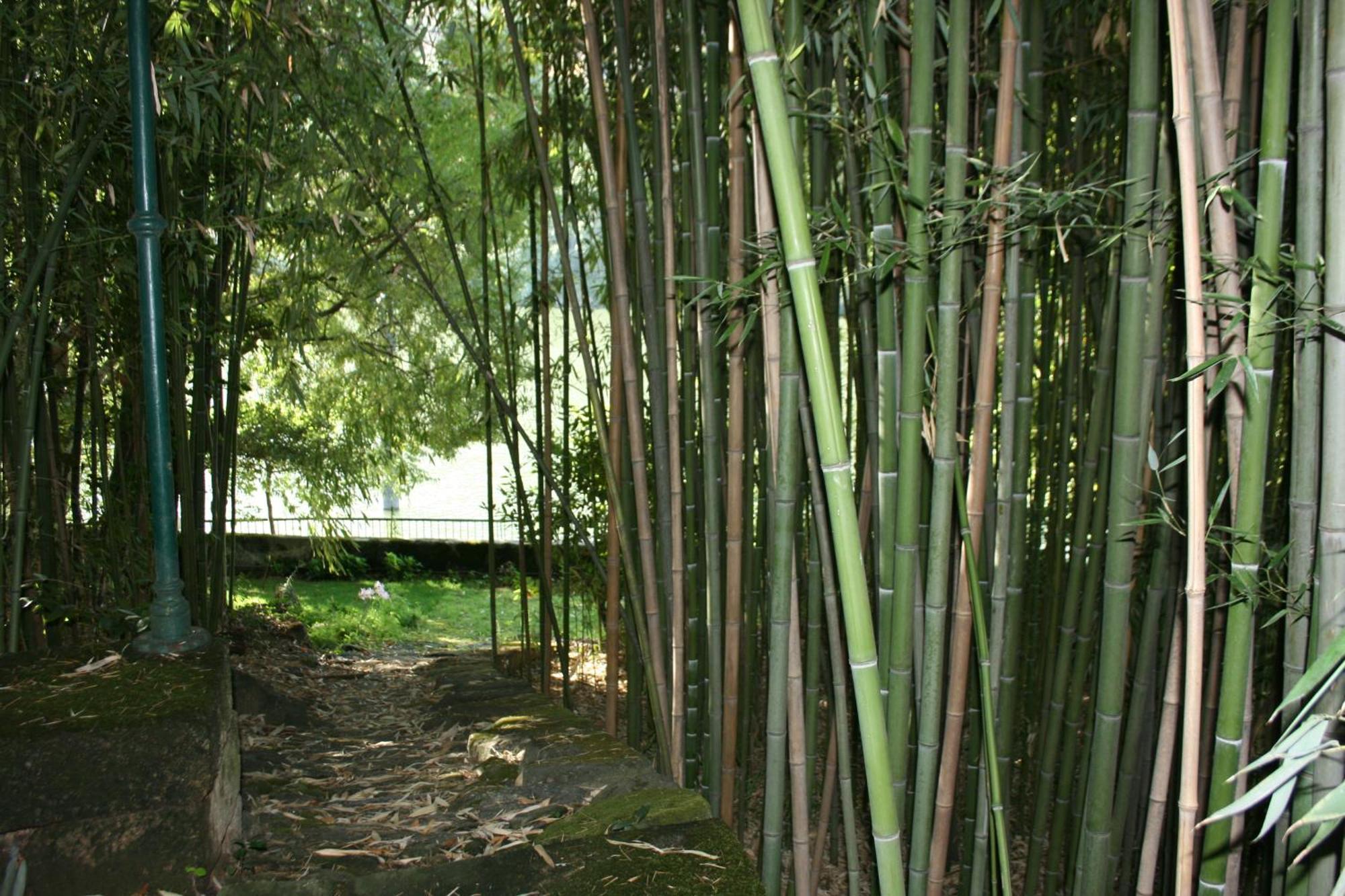 Quinta Da Ermida - Turismo De Habitacao Bed & Breakfast Baião Exterior foto